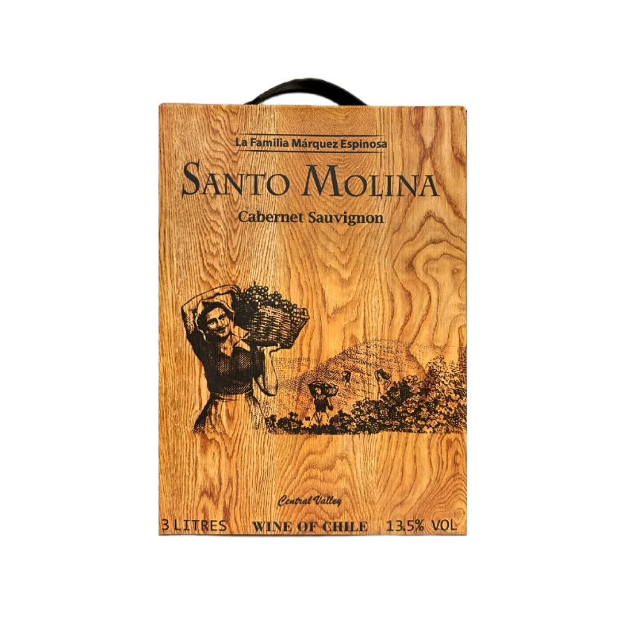Rượu Vang Bịch Đỏ Chile Santo Molina Cabernet Sauvignon 3L G