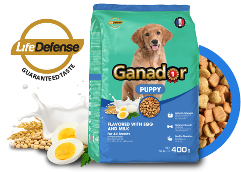 Ganador Puppy Egg&Milk Flavor-Bao 10kg-Thức ăn chó