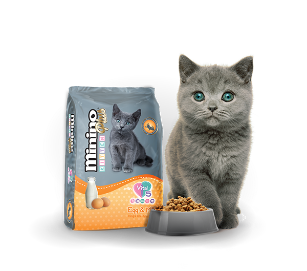 Minino Plus Kitten Egg&Milk-Thùng 9kg(6x1.5kg)-Thức ăn mèo