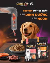 GANADOR PREMIUM DOG ADULT WITH SALMON_10KG VN THỨC ĂN CHÓ