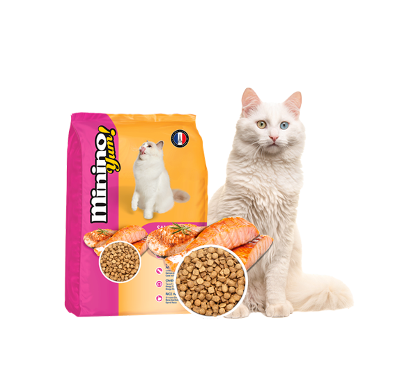 Minino Yum Salmon Flavor-Bao 7kg(20x350g)-Thức ăn mèo