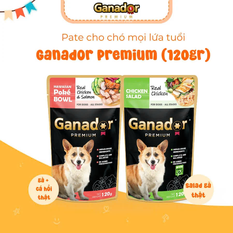 Ganador Premium Chicken Salad-TL-Thùng 2.88kg(24x120g)-Thức ăn chó dạng xốt