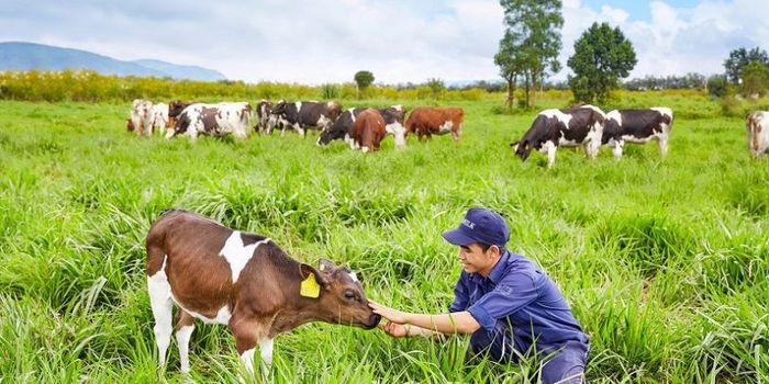 Theo dõi sức khoẻ
định kỳ khoa học
