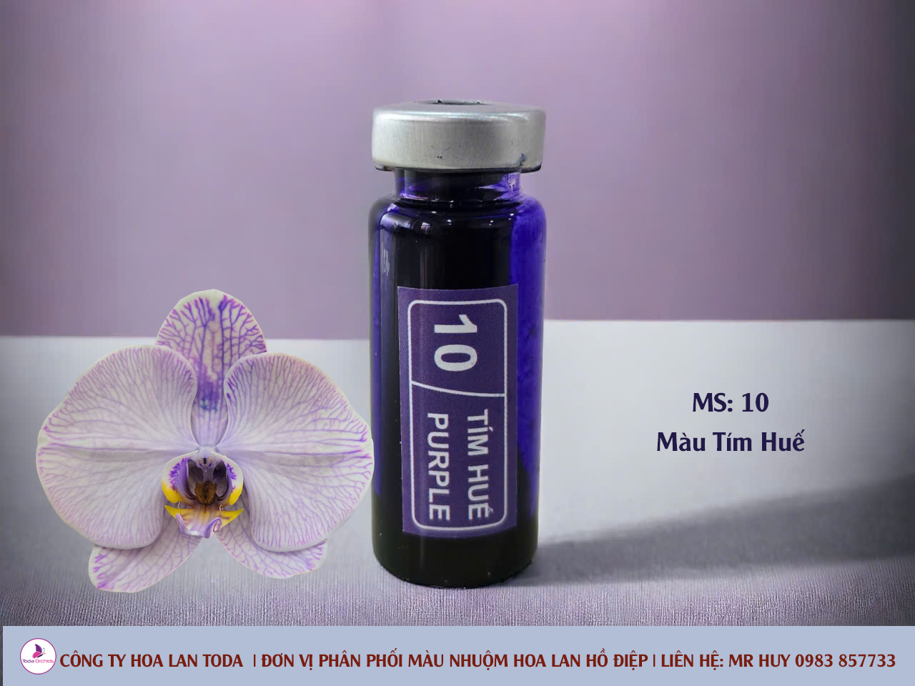 Màu nhuộm hoa lan: Tím Huế