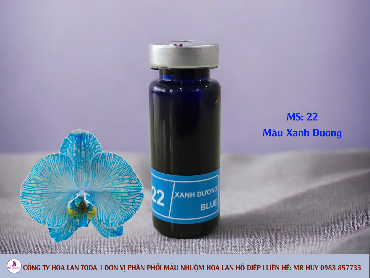 Màu nhuộm hoa lan: Xanh dương