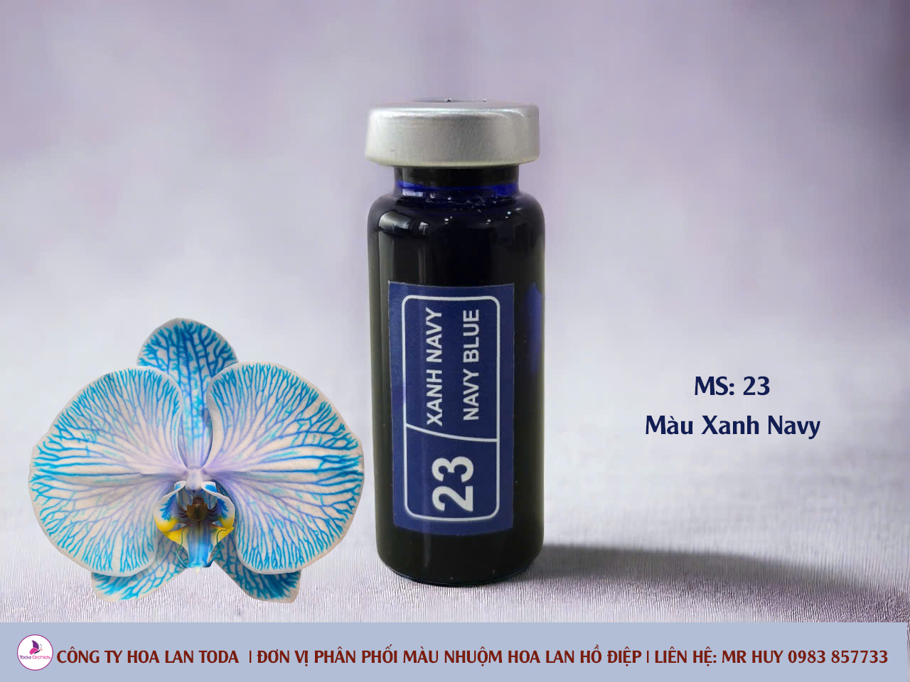 Màu nhuộm hoa lan: Xanh Navi