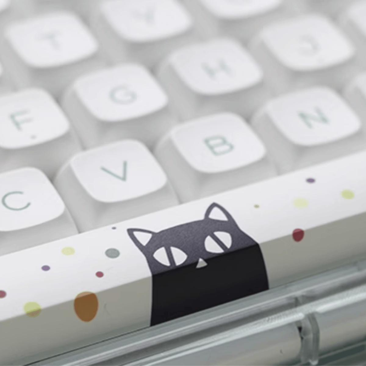 Keycap XDA PBT Strange Cat