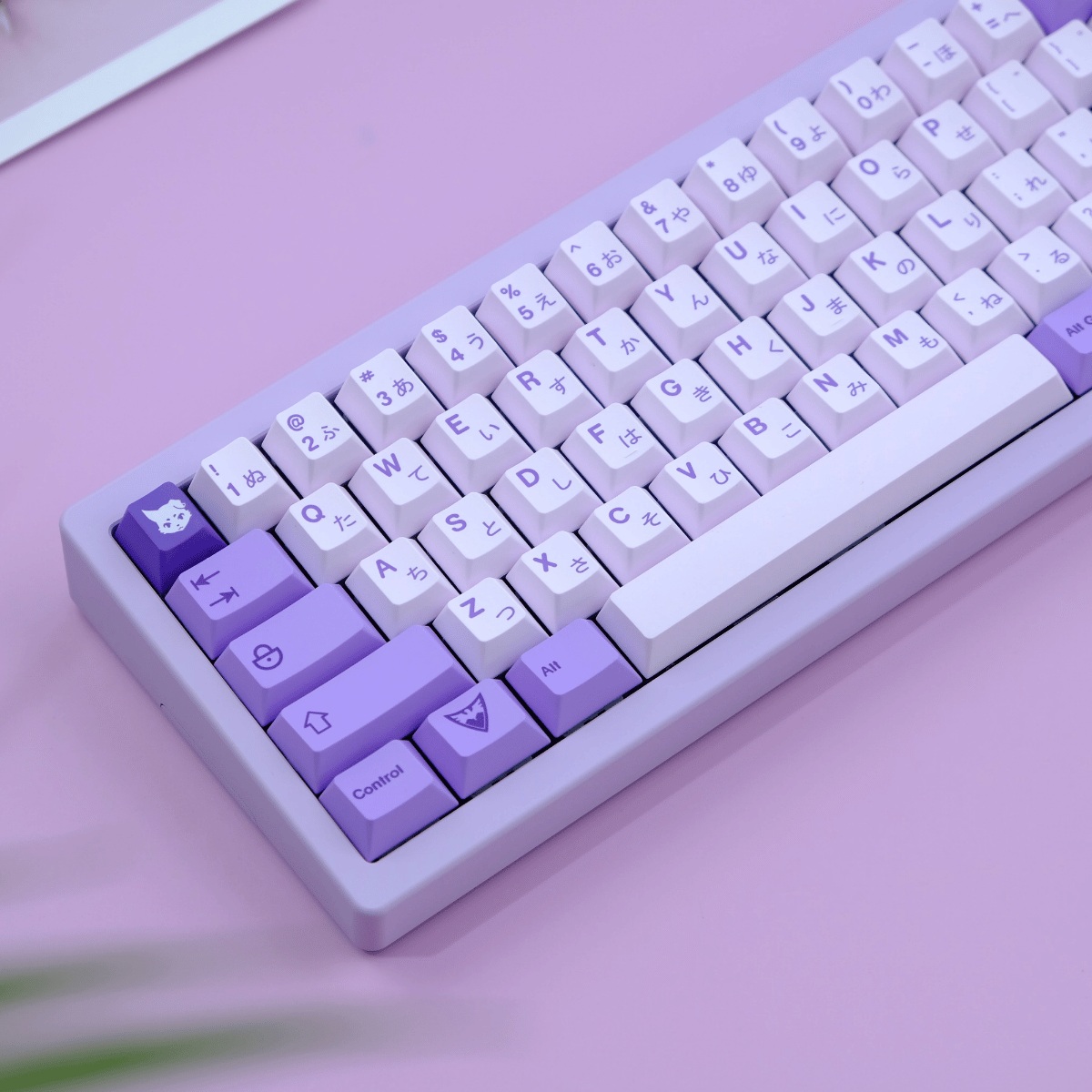 Keycap CMK PBT Frost Witch