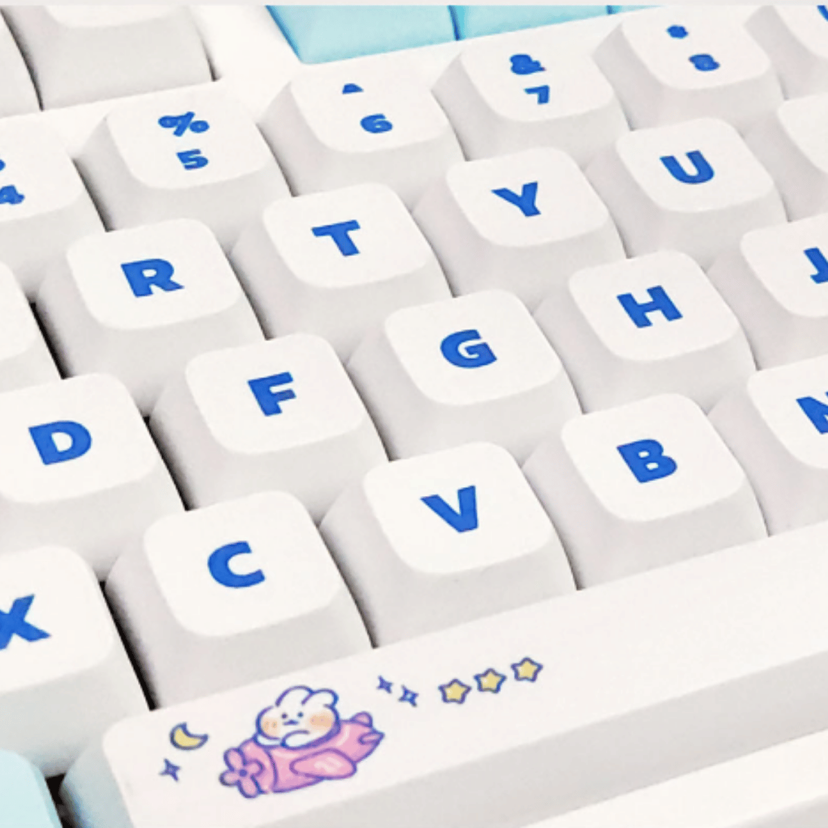 Keycap XDA PBT Steam Rabbit