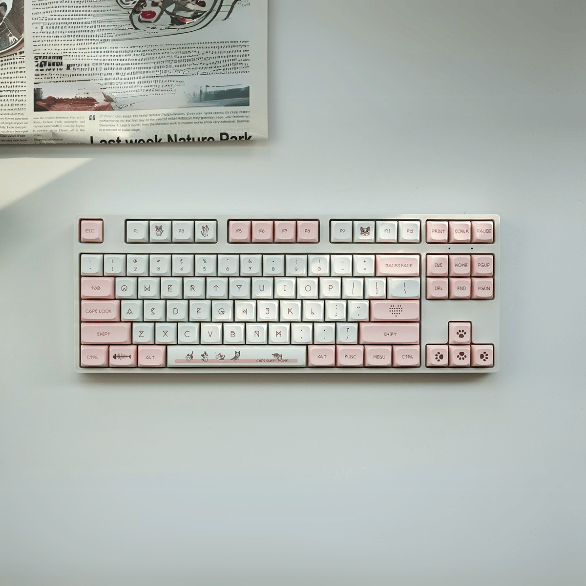 Keycap XDA PBT Cheese Cat