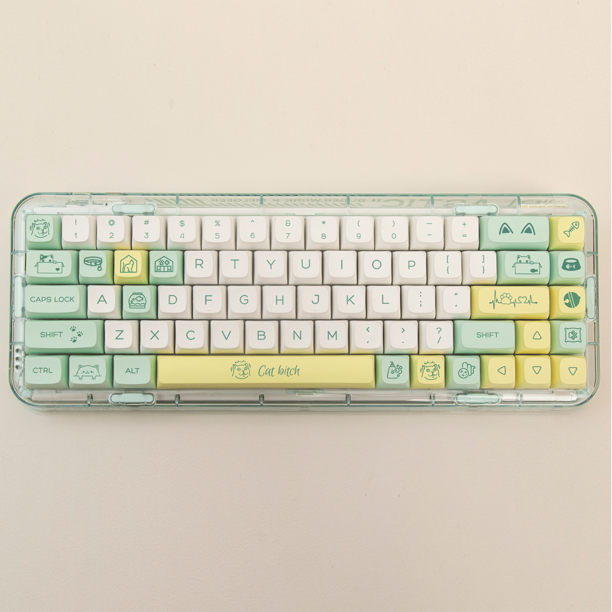 Keycap XDA PBT Strange Cat