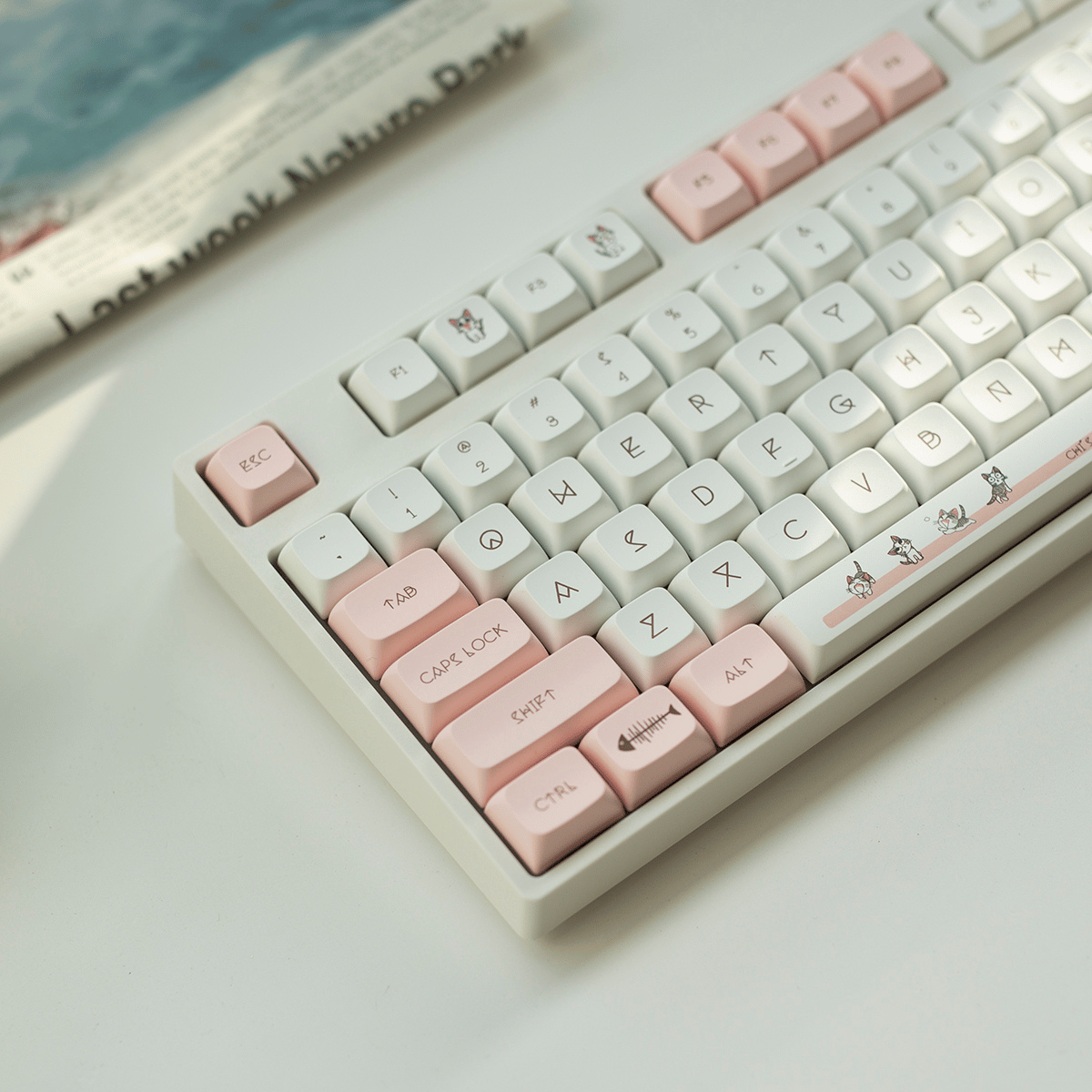 Keycap XDA PBT Cheese Cat