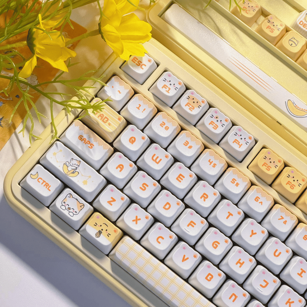 Keycap NDN Banana Cat PBT Dye-sub PDA Profile
