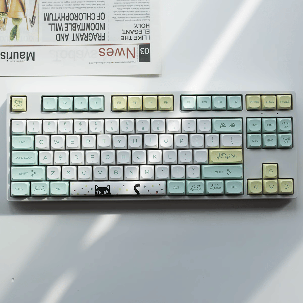 Keycap XDA PBT Strange Cat