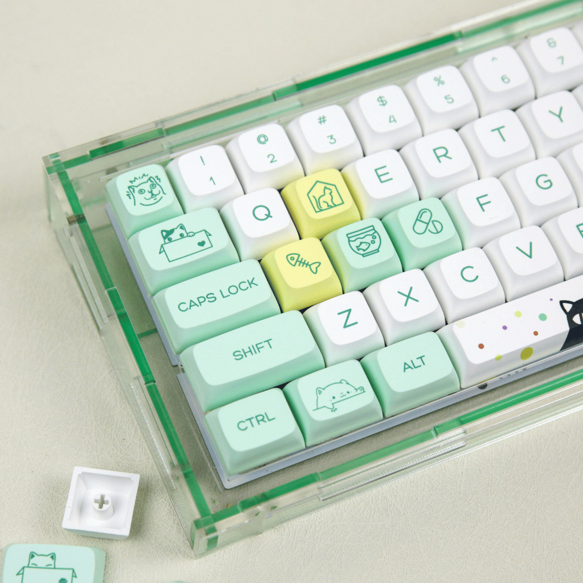 Keycap XDA PBT Strange Cat