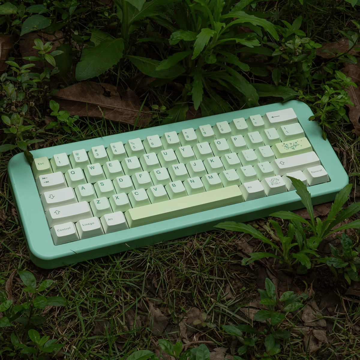 Keycap CMK PBT Ginko