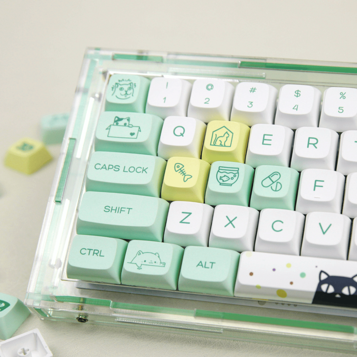 Keycap XDA PBT Strange Cat