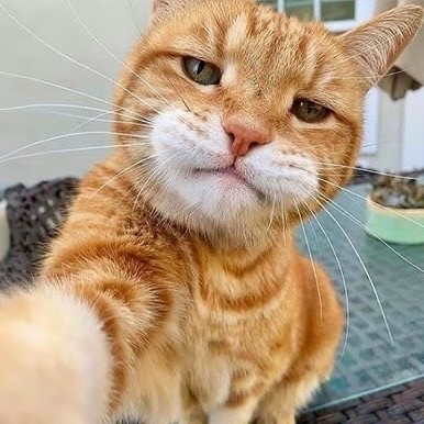 instagram_3.jpg