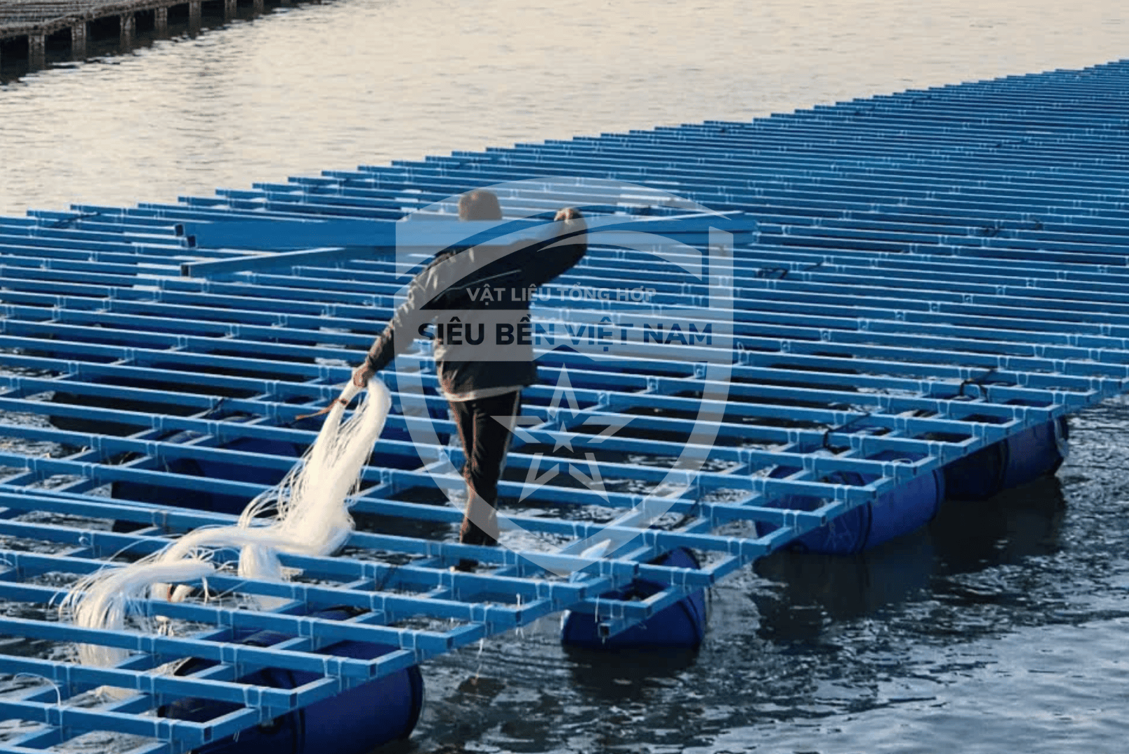 Dự án nuôi trồng thủy hải sản