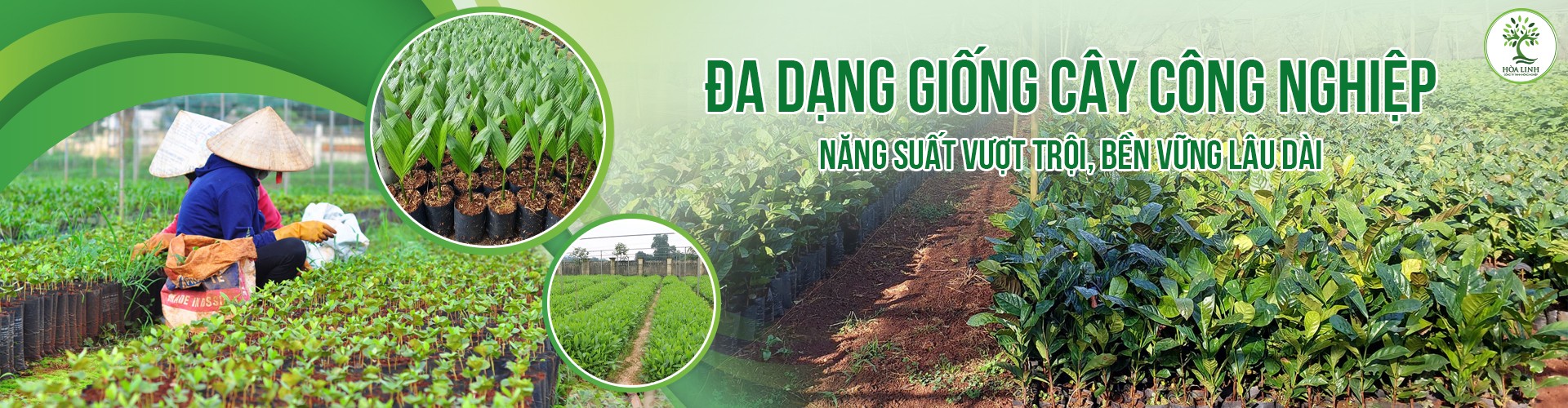 Nông Nghiệp Hòa Linh