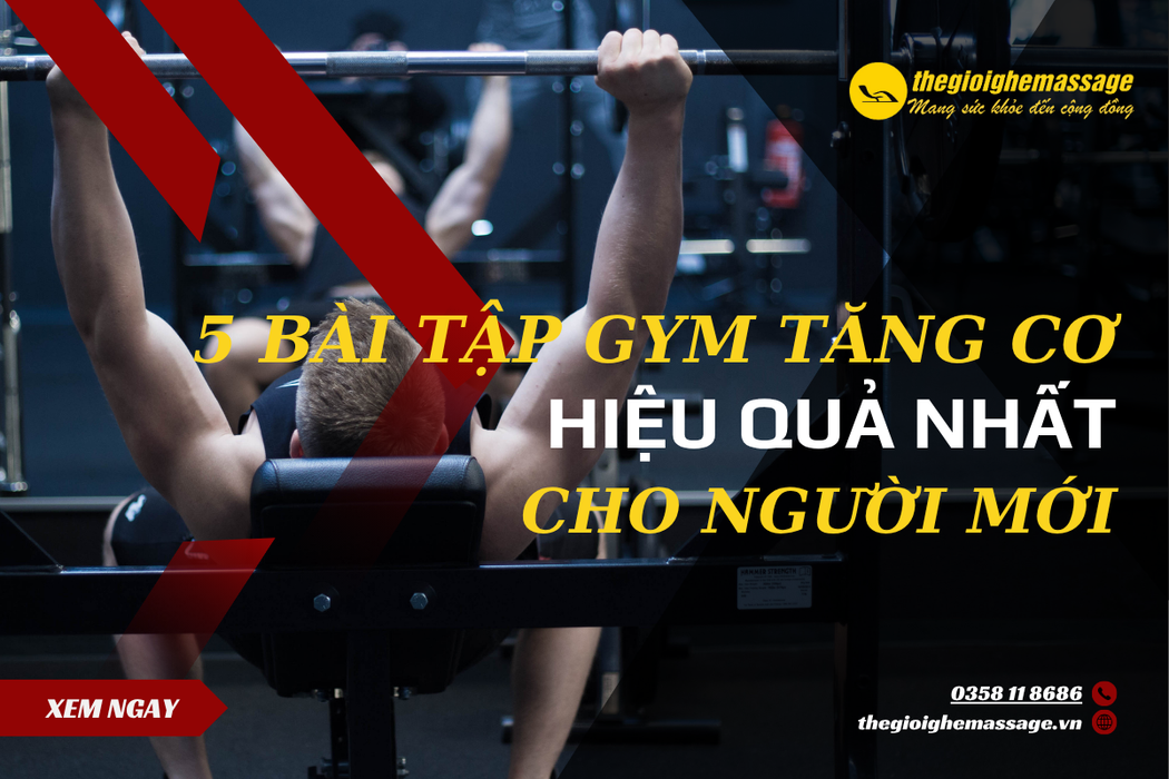 5 Bài Tập Gym Tăng Cơ Hiệu Quả Nhất Cho Người Mới Bắt Đầu