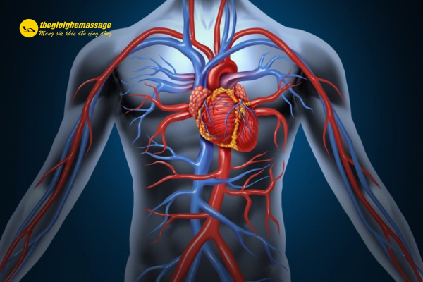 Lợi ích của ghế massage đối với người bệnh tim mạch
