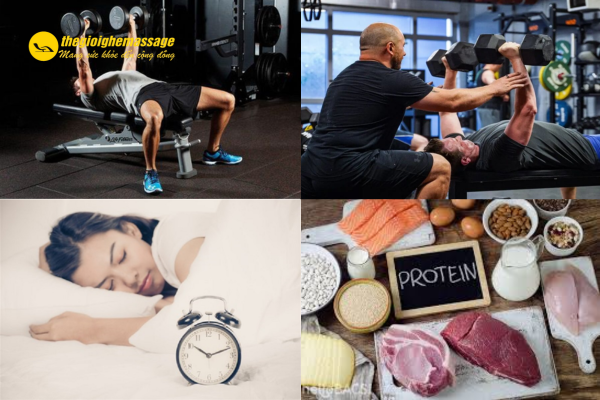 Một Số Lưu Ý Khi Tập Bài Tập Gym Tăng Cơ Cho Người Mới