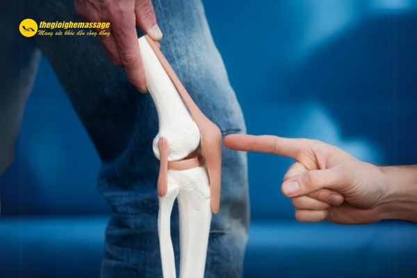 Hỗ trợ sức khỏe xương khớp, phòng ngừa thoái hóa