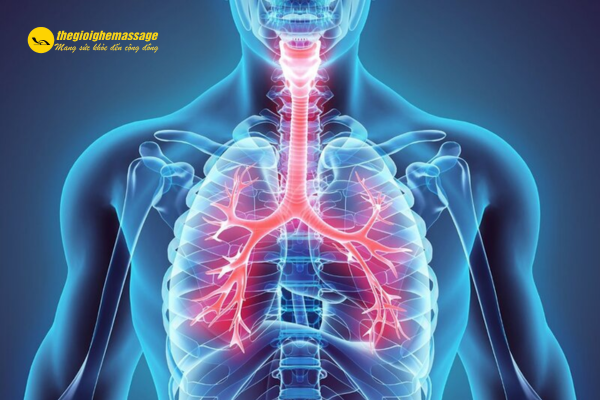 Cải thiện tuần hoàn máu, tăng cường hô hấp