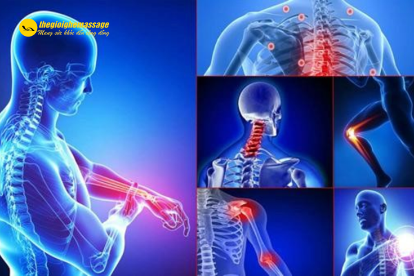 Hỗ trợ cải thiện hệ xương khớp