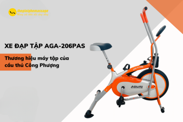 Xe đạp tập phục hồi chức năng AGA-206 PAS