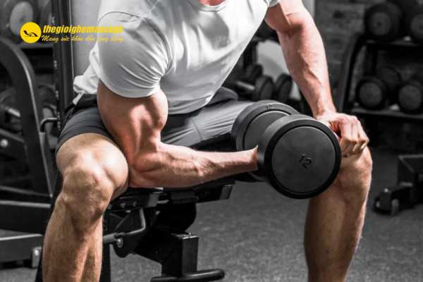 Tạ đơn và tạ tay – Linh hoạt và hiệu quả 