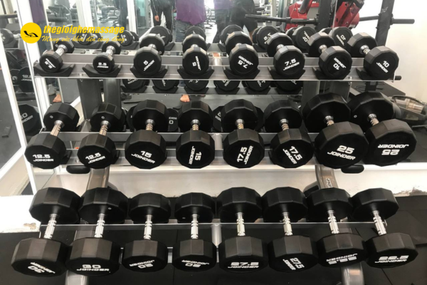 Tạ đơn – Tạ tay