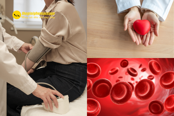 Máy chạy bộ – Công cụ luyện tập hiệu quả cho hệ tim mạch