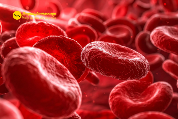 Cải thiện tuần hoàn máu và sức khỏe tim mạch