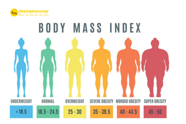 BMI là gì? Vì sao cần theo dõi BMI khi tập luyện?