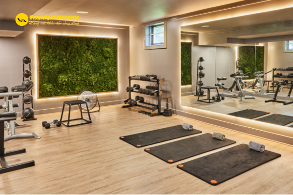 Home Gym Là Gì?