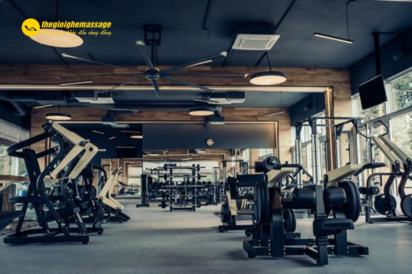 Phòng Tập Gym Là Gì?