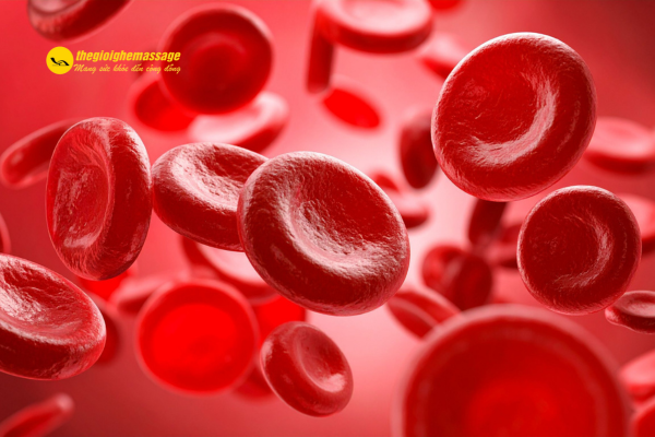 Tăng Tuần Hoàn Máu Và Giúp Cơ Phục Hồi