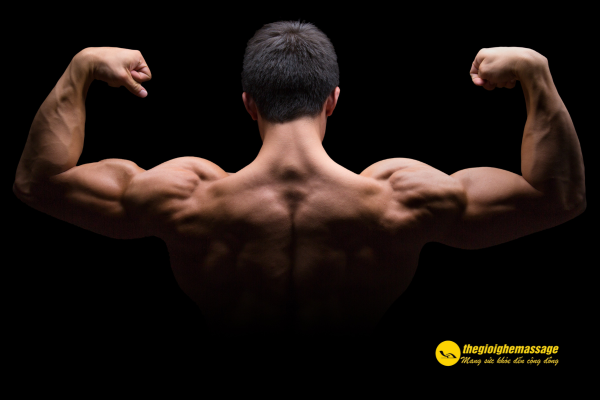 Tăng sức mạnh cơ bắp toàn diện