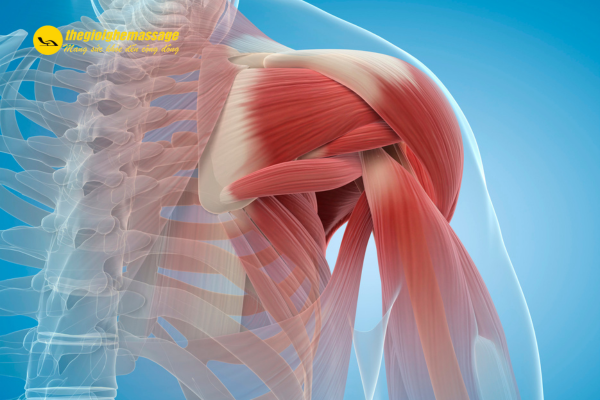 Thư giãn cơ bắp, giảm áp lực lên khớp