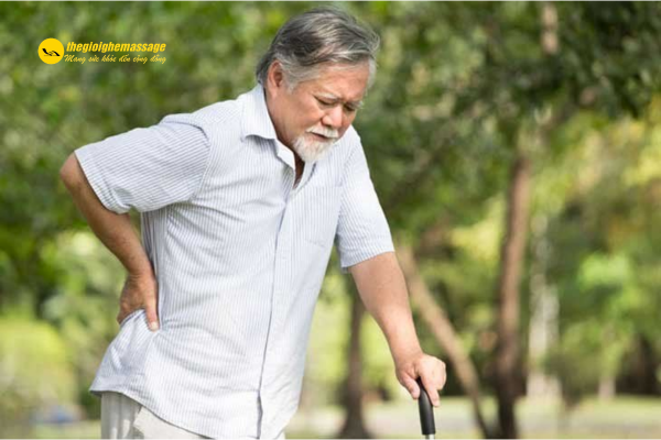 Ưu Tiên Phù Hợp Thể Trạng Người Lớn Tuổi