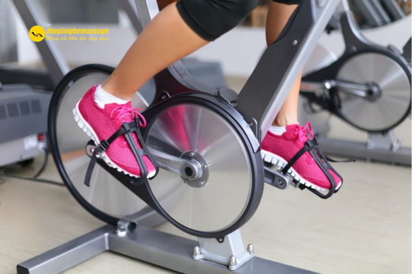 Vì Sao Tập Xe Đạp Tại Nhà Giúp Đốt Cháy Calo?