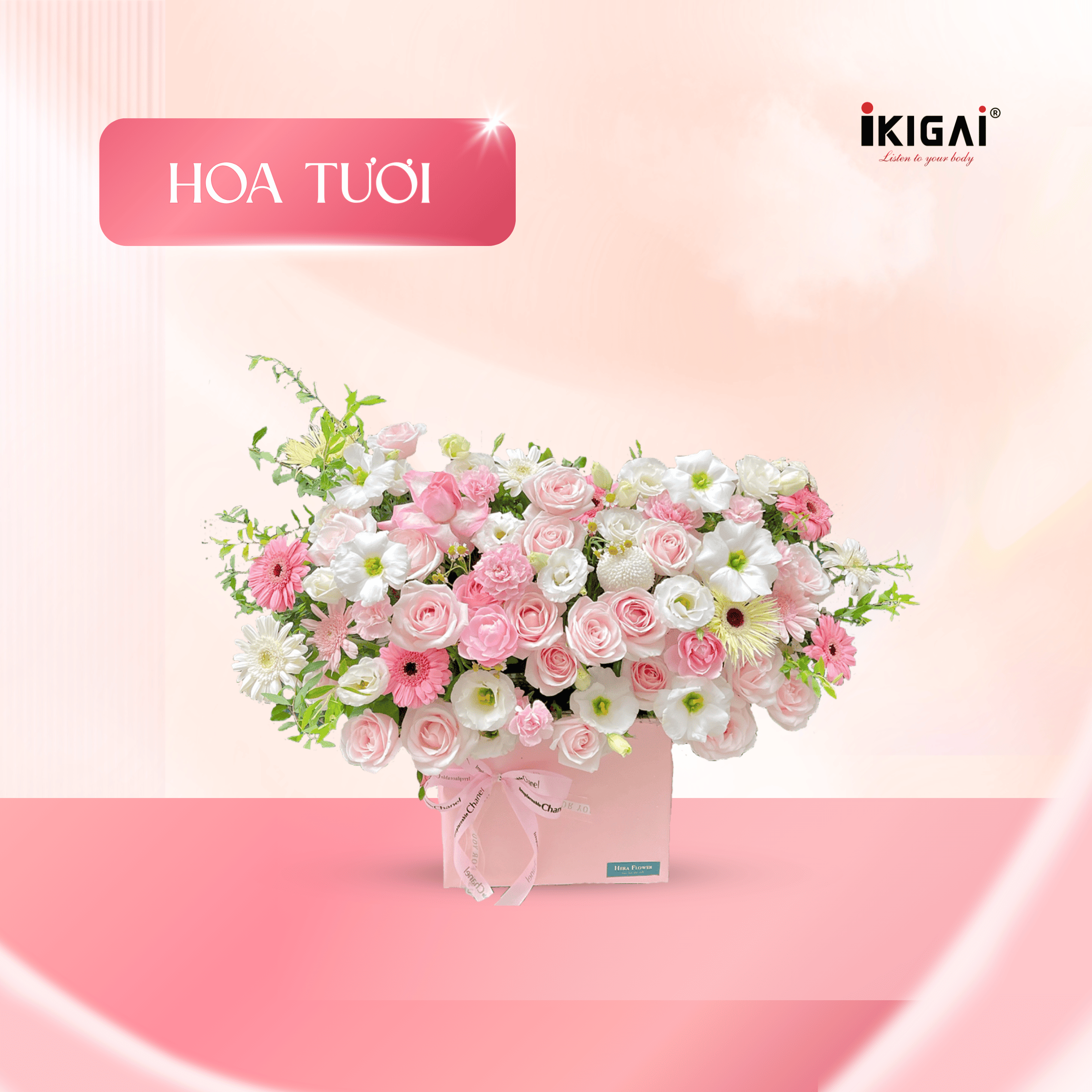 COMBO VẸN TRÒN