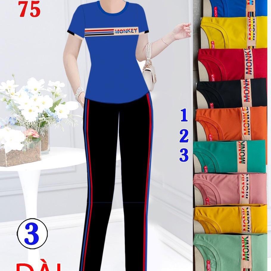 Bộ cotton mịn siêu mát cho chị em từ U30 tuổi trở lên Nữ Thun Women