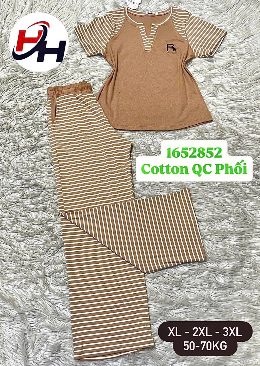 bộ cotyon quảng châu phối sọc