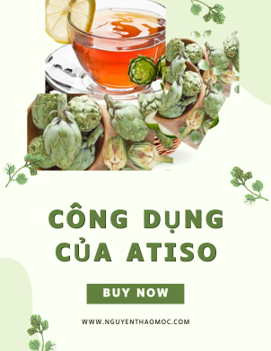 5 Công Dụng Tuyệt Vời Của Atiso Đối Với Sức Khỏe