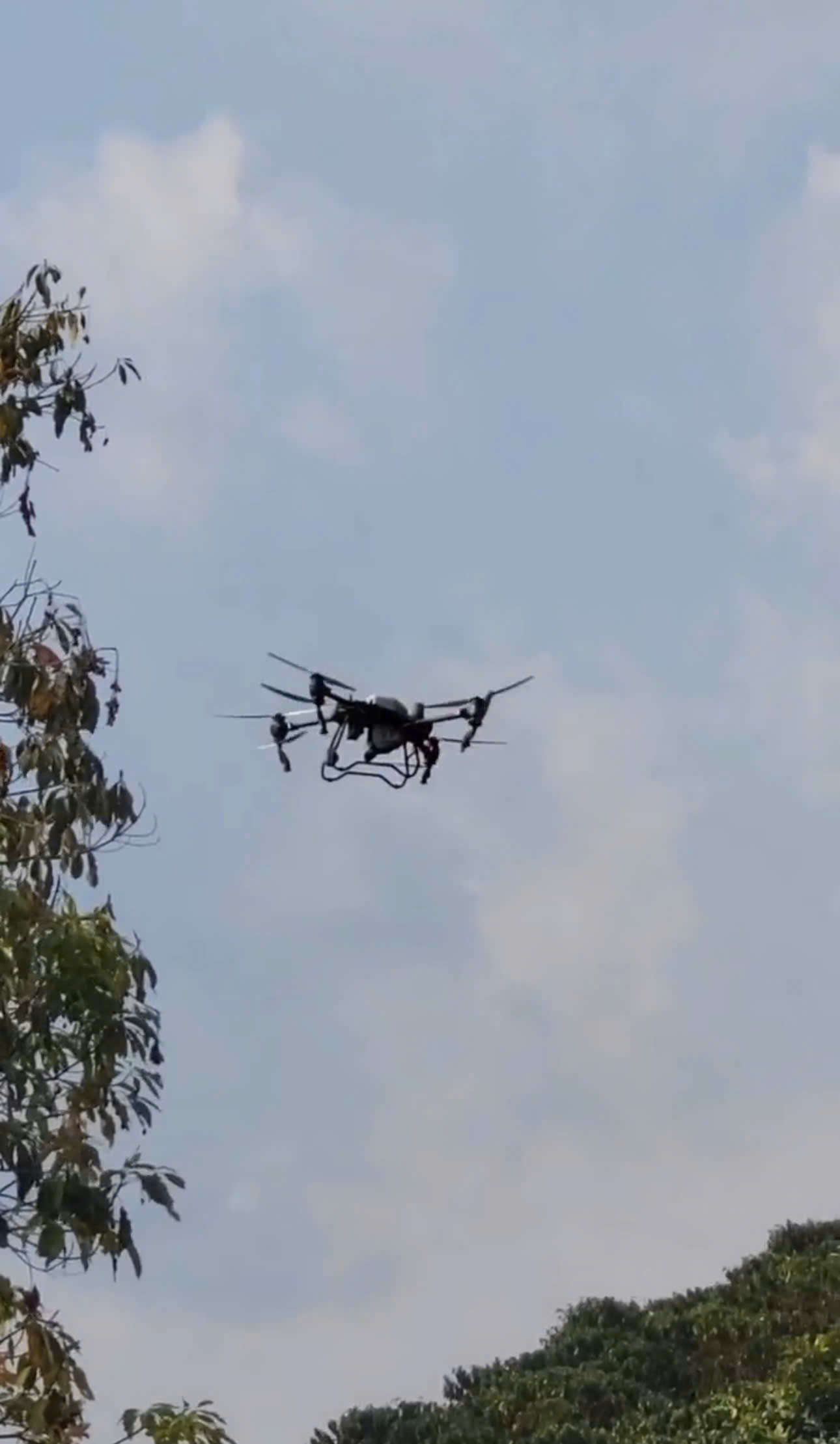 DỊCH VỤ MÁY BAY PHUN THUỐC – GIẢI PHÁP HIỆU QUẢ CHO NHÀ NÔNG!