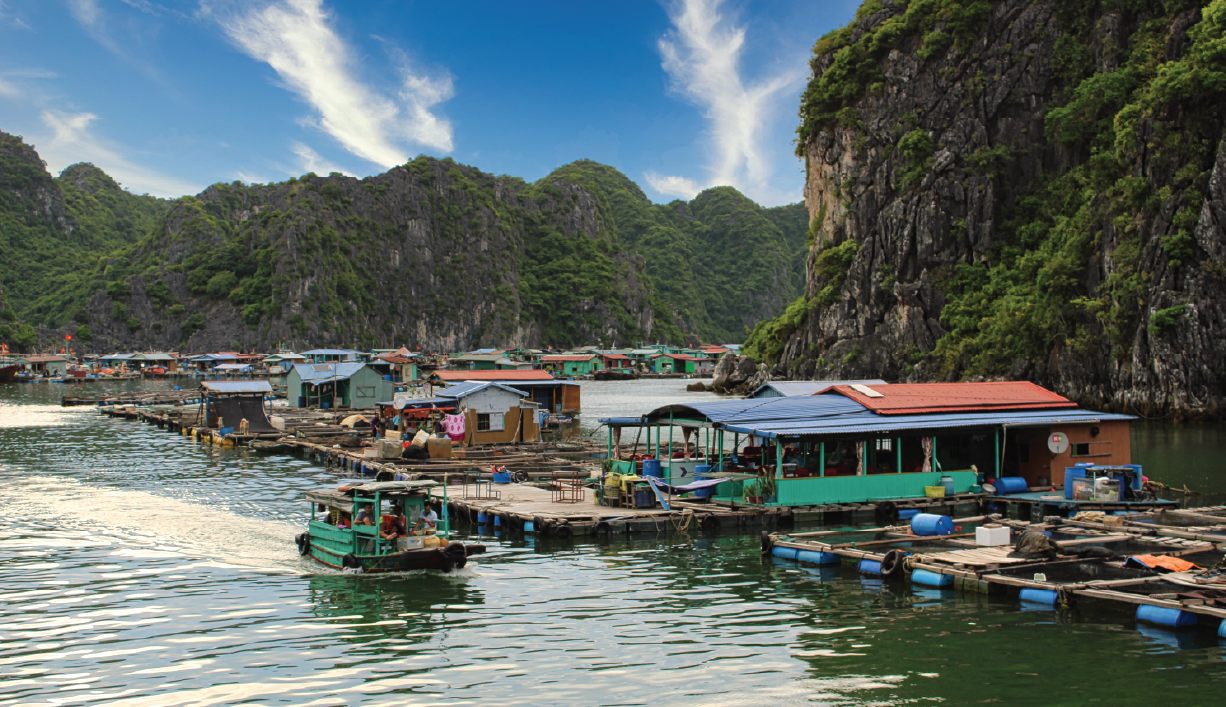 Cai Beo fishing village
