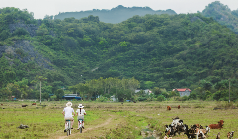 Viet Hai Village